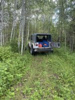 IMG_2555.jpeg