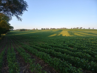 image_2023-07-19_180901278.png