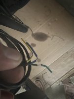 IMG_9771.jpeg
