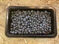 IMG_5480.jpeg