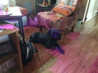 IMG_1179.jpeg