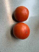 IMG_0349.jpeg
