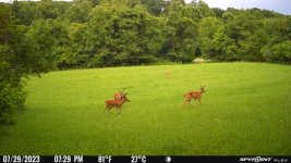 IMG_0362.jpeg