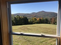 IMG_2890.jpeg