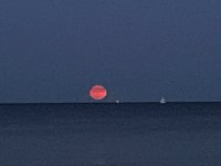 IMG_7222.jpeg