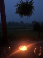 IMG_3269.jpeg