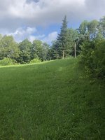 IMG_3273.jpeg