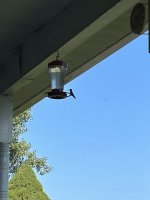 IMG_0638.jpeg