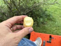 IMG_0649.jpeg