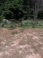LS Tractor Tree Shear2.jpeg