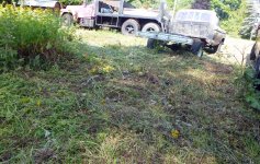 weedcut50871.jpg