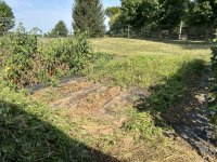 IMG_0675.jpeg