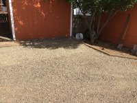 IMG_1188.jpeg