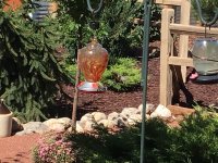IMG_1201.jpeg