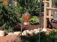 IMG_1200.jpeg