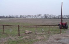 Fence18.6.JPG