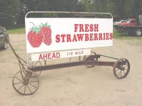 berry banner.JPG