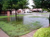 FRONTYARD (Small).JPG