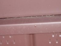 DSCF0579.JPG