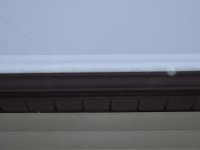 DSCF0576.JPG