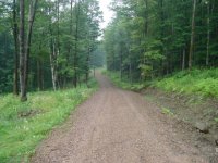 Gravel Road 2.JPG