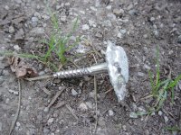 screw.JPG