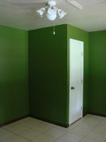 shackceiling.jpg