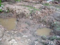 downstream culvert before.jpg
