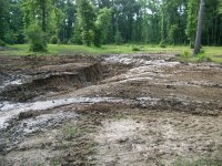 6-2-07 Monster Stump gone.jpg
