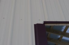 IMG_4264.JPG