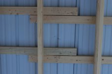 IMG_4271.JPG