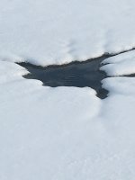 IMG_9326.jpeg