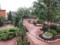 IMG_1219.jpeg
