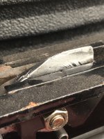 IMG_6243.jpeg