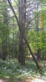 104_4019.JPG