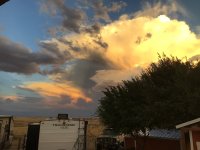 IMG_1226.jpeg