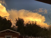 IMG_1225.jpeg