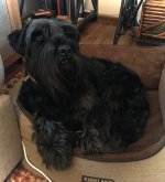 IMG_1057.jpeg
