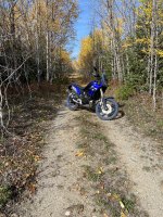 IMG_2797.jpeg