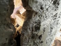 Stucco Siding Issues  (11).JPG