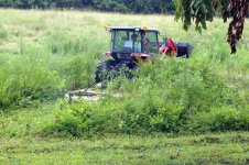 2013-08-10 Bush hogging trails for go-kart in Dad's pasture-2.jpg