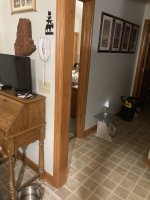 IMG_3892.jpg