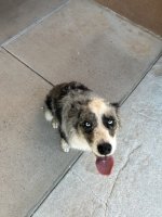 IMG_0365.jpeg
