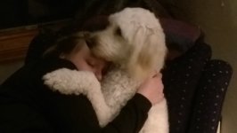 IMG_0181.jpeg