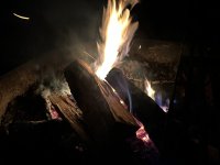 IMG_2075.jpeg