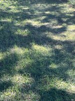 IMG_3770.jpeg