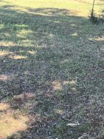 IMG_3769.jpeg