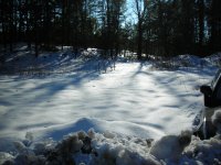 Winter crops.JPG