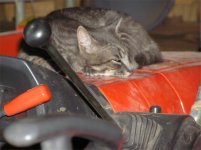 resting after snake attack.jpg