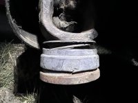 IMG_4549.jpeg